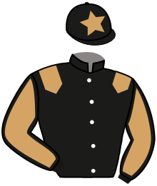 Casaque de RAF TAVEL