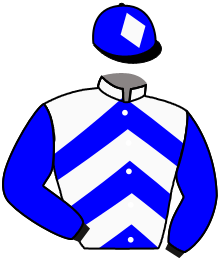 Casaque de HOTEL DIEU