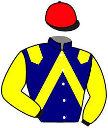 Casaque de JETSTAR DE VRIE