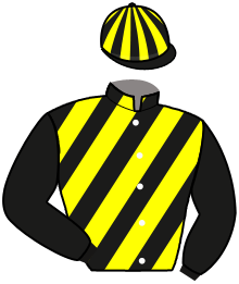 Casaque de JUST WINNER ROC