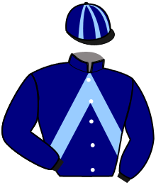 Casaque de GALOPIN DE BLOT