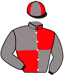 Casaque de MONSIEUR DE VORE