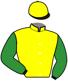 Casaque de MISTER DREAM TY