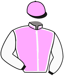 Casaque de HARRY'S PRINCESS