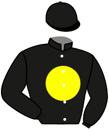 Casaque de MONEY MONEY