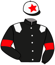 Casaque de MISTER PARKER