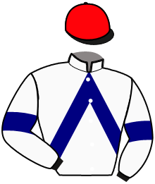 Casaque de HORACIO DE CERISY