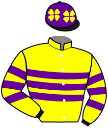 Casaque de WOODSTONE