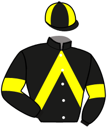 Casaque de JEUX D'ACTION