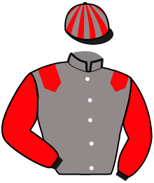 Casaque de MAGIC NIGHT