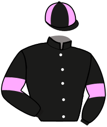 Casaque de JAVANAISE SONG