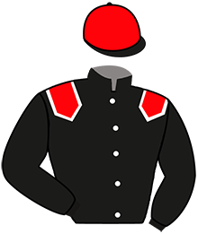 Casaque de KHERMES D'URZY