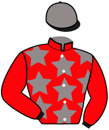 Casaque de HEROS DES LOYAUX