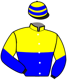 Casaque de MADISON DE TILLARD