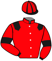 Casaque de JADE DU DAN