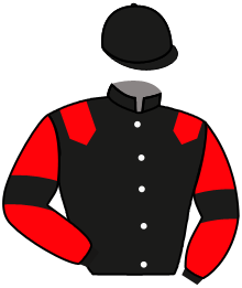 Casaque de IDEAL KING