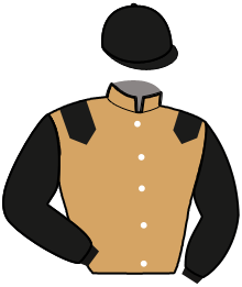 Casaque de INSOMNIA ERCA