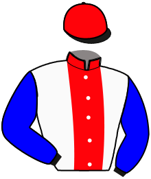 Casaque de KAMIKAZE DU CAMPUS