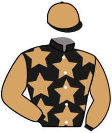 Casaque de TRADE HONOR