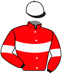 Casaque de HELIOS DES CHAMPS