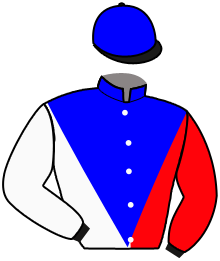 Casaque de HENRY DE TROUVILLE