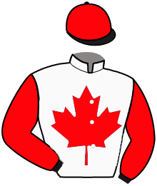 Casaque de GREAT D'ARRY