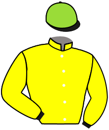 Casaque de DINO STYLE