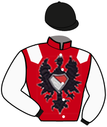 Casaque de AIGUIERE D'ARGENT