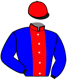 Casaque de HELIOS DU TAY