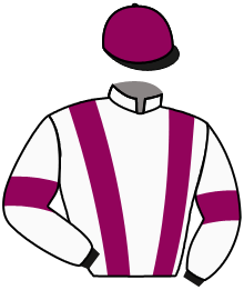 Casaque de BRILLADOR