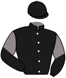 Casaque de FIGHTER SIMONI