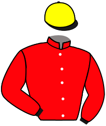 Casaque de MAGIC TRILLION