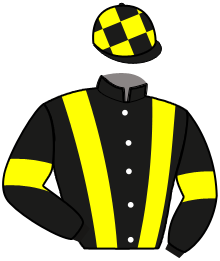 Casaque de LEMONADE FIZZ