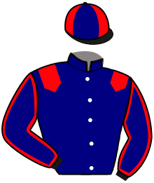 Casaque de KINGSTON DES HAYES