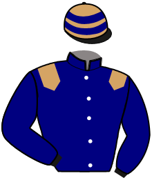 Casaque de LADY DE DOMPIERRE