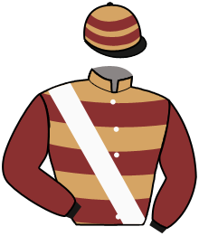 Casaque de CHARM WRENS