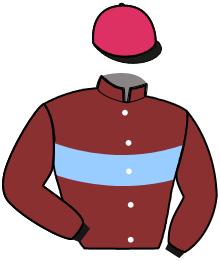 Casaque de LIGHTNING MARGAUX