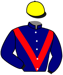 Casaque de HARCADIAN