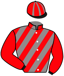 Casaque de MUSTANG DU PONT