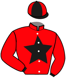 Casaque de JAVA DE FOLIOT