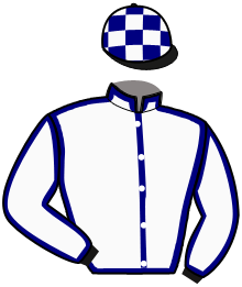 Casaque de JOKER DU RANCH