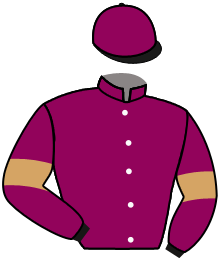 Casaque de GOLDKIKOU