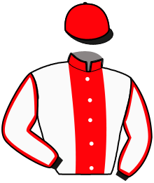 Casaque de HORSE DE GRAMMONT