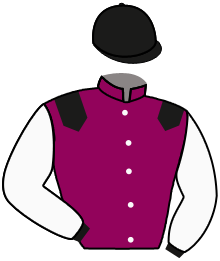 Casaque de DRAGON LOVE