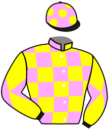 Casaque de BEECHCRAFT