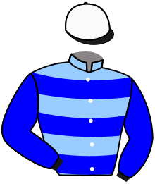 Casaque de FOREST CROWN