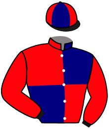 Casaque de WALIS DU MAZET