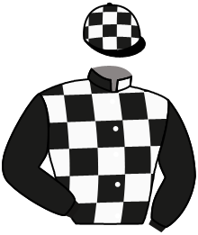 Casaque de NEW PRESIDENT