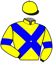 Casaque de KING STALLION