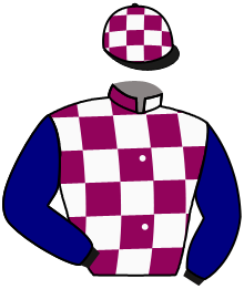 Casaque de SPES ENERGICALL